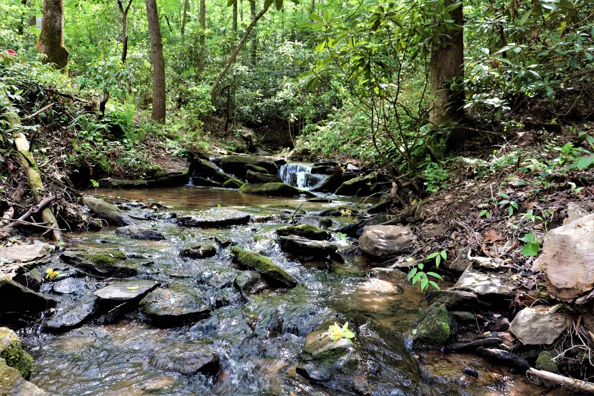 A picturesque exterior scene featuring a flowing stream with a small waterfall, surrounded by lush greenery and natural rock formations. The tranquil water and vibrant plant life create a perfect atmosphere for outdoor exploration and play.